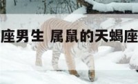 属鼠的天蝎座男生 属鼠的天蝎座男生性格脾气