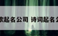 诗歌起名公司 诗词起名公司