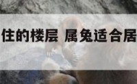 属兔适合居住的楼层 属兔适合居住的楼层是哪几层