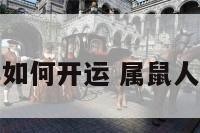鼠年如何开运 属鼠人开运