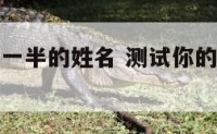 测试我的另一半的姓名 测试你的另一半姓什么名字