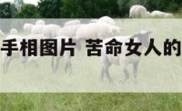 苦命女人的手相图片 苦命女人的手相图片大全