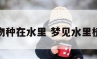 梦见植物种在水里 梦见水里植物茂盛