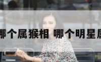 明星哪个属猴相 哪个明星属猴子