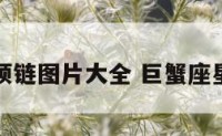 巨蟹座项链图片大全 巨蟹座星座项链