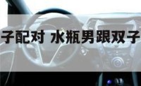 水瓶男和双子配对 水瓶男跟双子女的星座配对