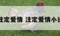 注定爱情 注定爱情小说