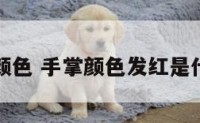 手掌有颜色 手掌颜色发红是什么原因