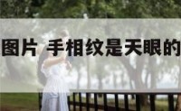 手相天目纹图片 手相纹是天眼的人是什么意思