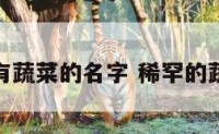 稀有蔬菜的名字 稀罕的蔬菜