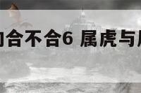 属虎与属羊的合不合6 属虎与属羊的合不合婚姻