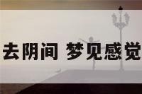 梦见感觉自己去阴间 梦见感觉自己去阴间了