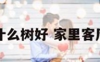 家里客厅养什么树好 家里客厅养什么植物