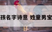 童姓男孩名字诗意 姓童男宝宝名字