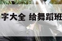 给舞蹈班取名字大全 给舞蹈班取个响亮的名字