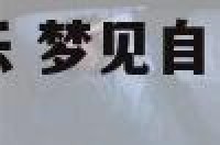 梦见自己演奏音乐 梦见自己演出音乐放不出来