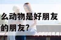 什么动物跟什么动物是好朋友 什么动物和什么动物是最好的朋友?