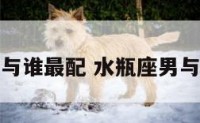 水瓶座男与谁最配 水瓶座男与谁最配对