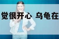 乌龟在河里感觉很开心 乌龟在水里很慌张的游
