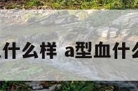 a型血什么样 a型血什么样的