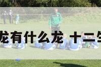 12生肖中属龙有什么龙 十二生肖龙的属相