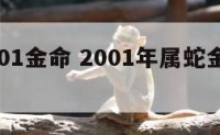 属蛇2001金命 2001年属蛇金命缺什么