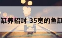 35宽的鱼缸养招财 35宽的鱼缸养什么鱼