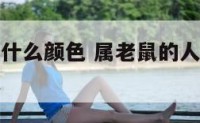 属老鼠的穿什么颜色 属老鼠的人适合穿什么颜色的衣服
