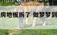 做梦梦到厨房地板拆了 做梦梦到厨房地板拆了好不好