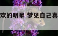 梦见自己喜欢的明星 梦见自己喜欢的明星给自己签名