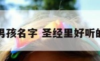 圣经起名男孩名字 圣经里好听的男孩名字