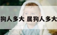 属狗人多大 属狗人多大了