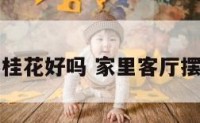 客厅财位养桂花好吗 家里客厅摆放桂花好吗