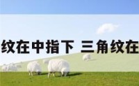 手相三角纹在中指下 三角纹在手心中央