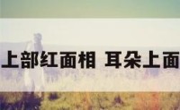 耳朵上部红面相 耳朵上面很红