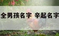 辛起名字大全男孩名字 辛起名字男孩名字帅气