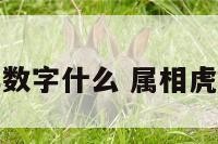 属虎的吉祥数字什么 属相虎的吉祥数字