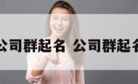 给公司群起名 公司群起名字