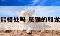 属猴属龙能相处吗 属猴的和龙的人和吗