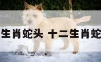十二生肖蛇头 十二生肖蛇头套