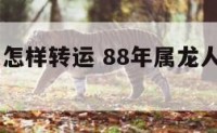 88年属龙怎样转运 88年属龙人的财运方向