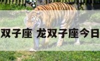 龙之双子座 龙双子座今日才运