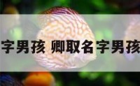 卿取名字男孩 卿取名字男孩带金字