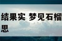 梦见石榴树上结果实 梦见石榴树上结了很多石榴是什么意思