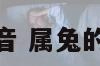 属兔的观音 属兔的观音菩萨