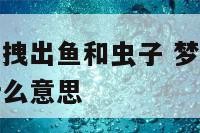 梦见从身体里拽出鱼和虫子 梦见从身体里拽出鱼和虫子什么意思