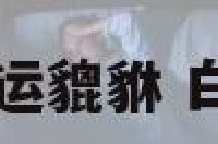 白龙王开运貔貅 白龙王手链