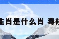 毒辣十二生肖是什么肖 毒辣什么什么