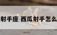 西瓜视频射手座 西瓜射手怎么画的视频