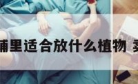 卖农药铺里适合放什么植物 卖农药店